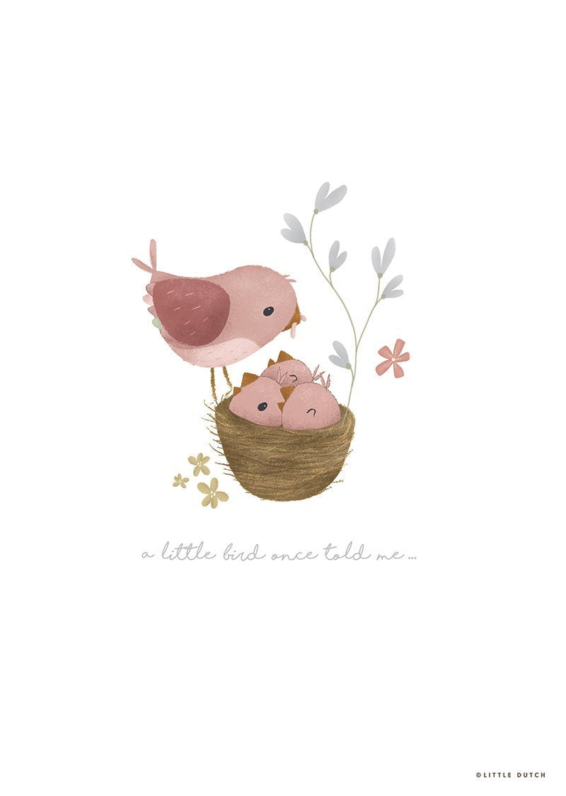 Poster A3 ROSA PW11521550 - NANU' BABY