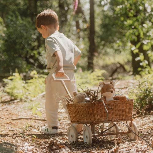 Piccola Volpe - Amici della foresta MULTICOLORE LD8904 - NANU' BABY