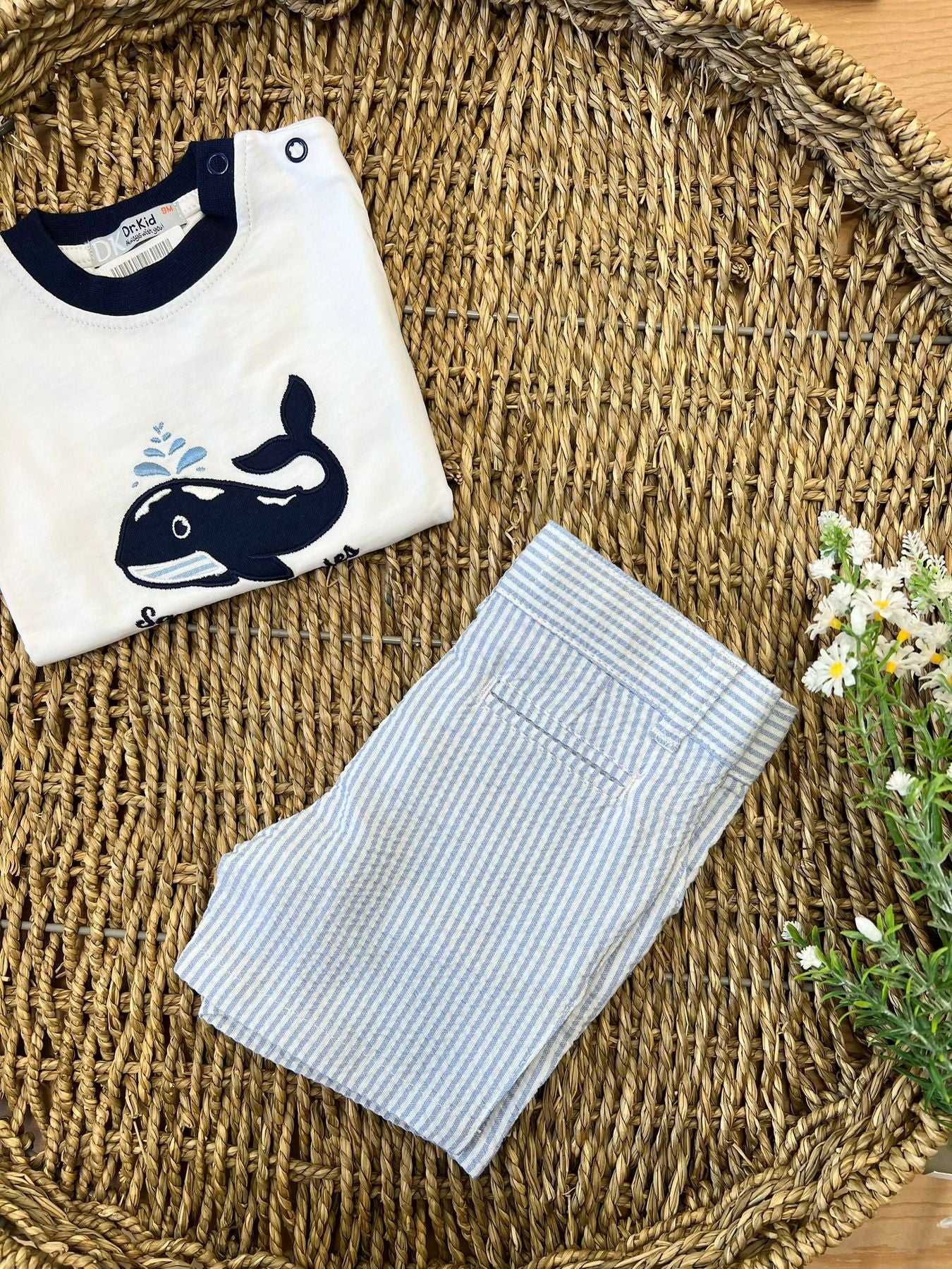 Bermuda bacchettato Bimbo AZZURRO SAVE DK304 - NANU' BABY