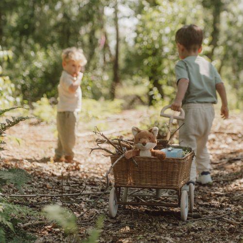 Piccola Volpe - Amici della foresta MULTICOLORE LD8904 - NANU' BABY
