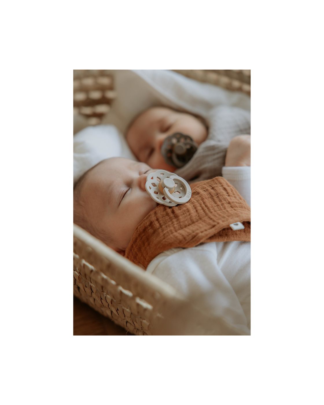 Set 2 ciucci Boheme Vaniglia/Rovere scuro VANIGLIA 230106 - NANU' BABY