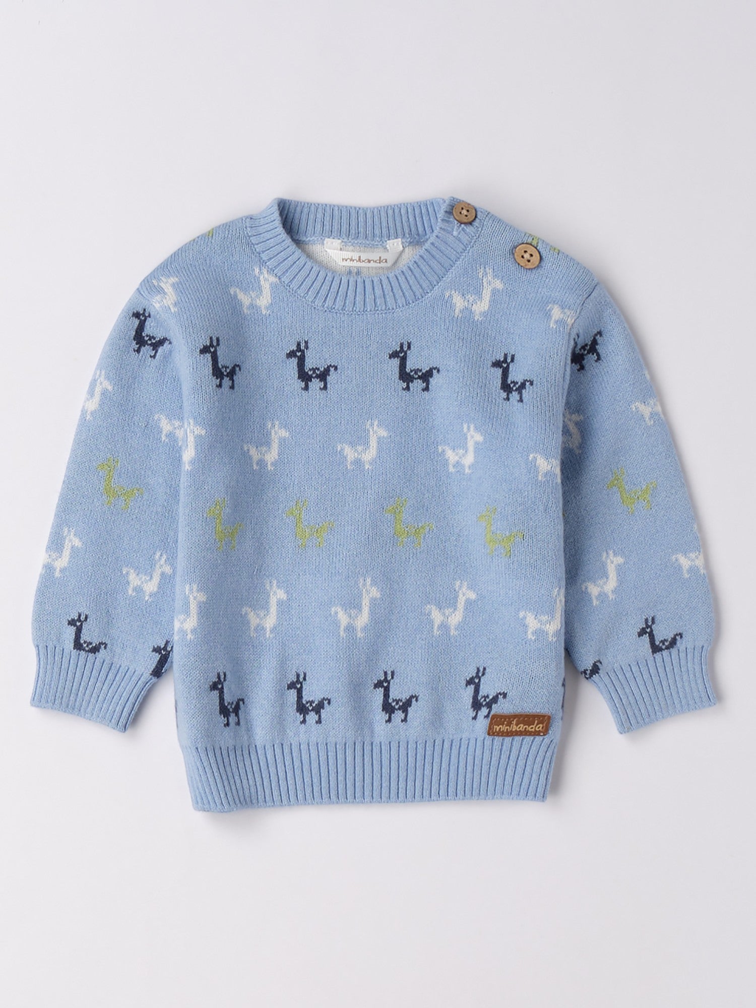 Maglia Chiusa Bimbo Blu 3F656/3964