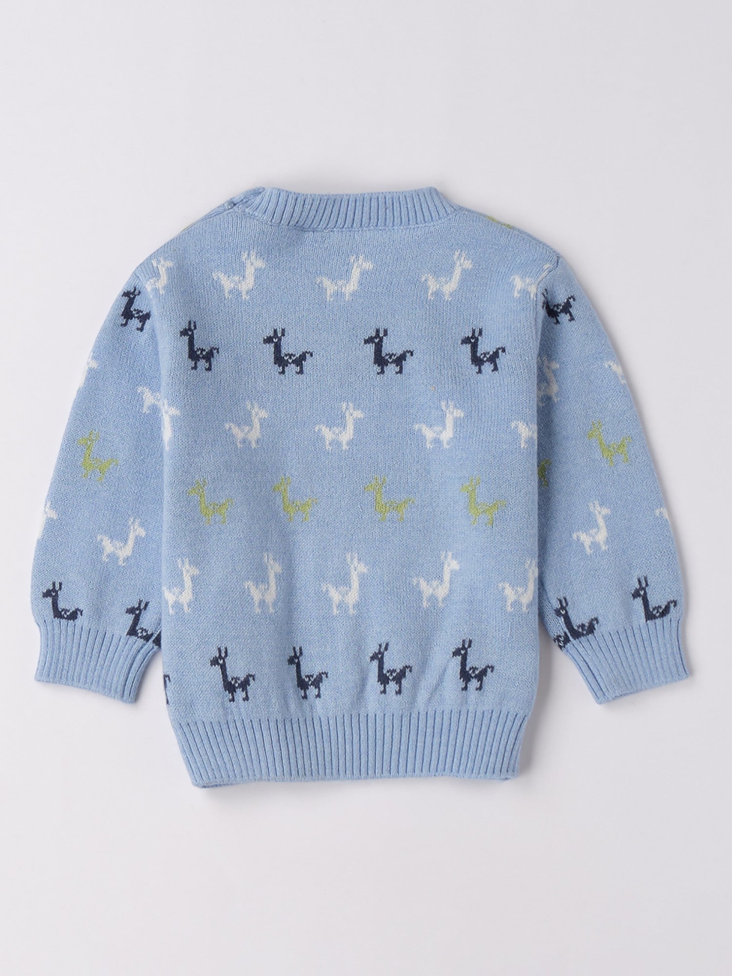 Maglia Chiusa Bimbo Blu 3F656/3964