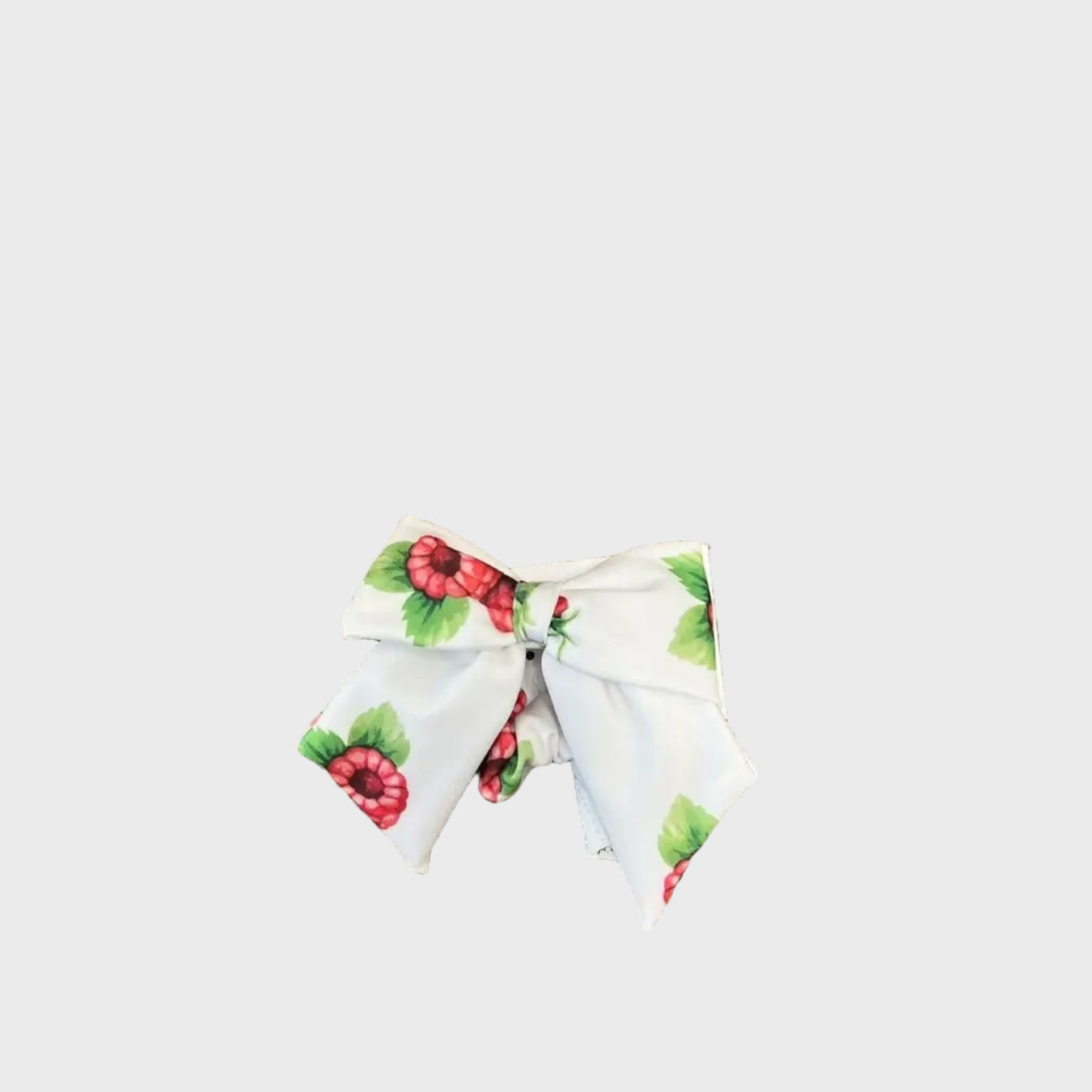 Elastico Bimba Multicolore RASPBERRIES - BEACH ELASTIC BOW by MEIA PATA
