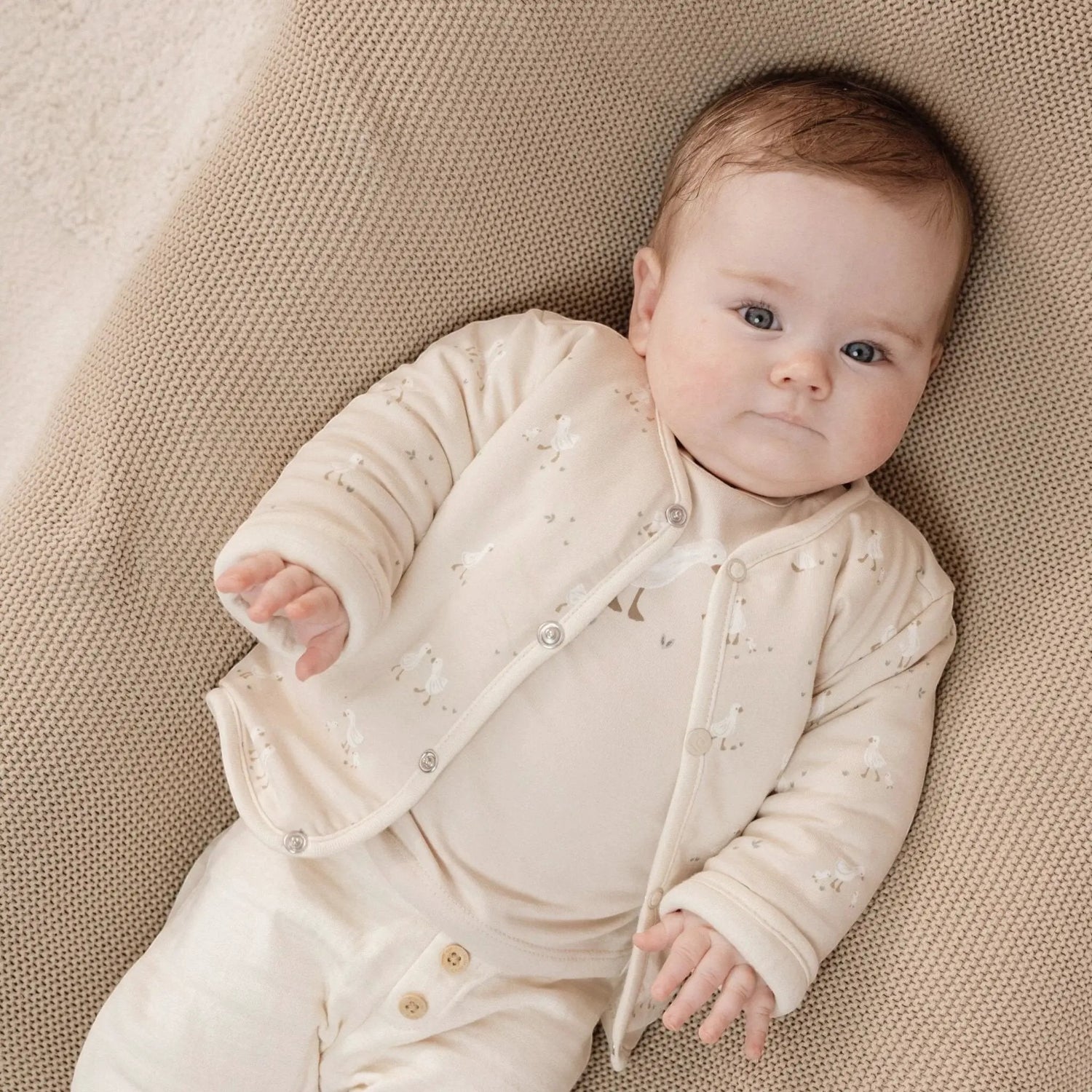 Giacca Neonato Beige CL25292013 by LITTLE DUTCH