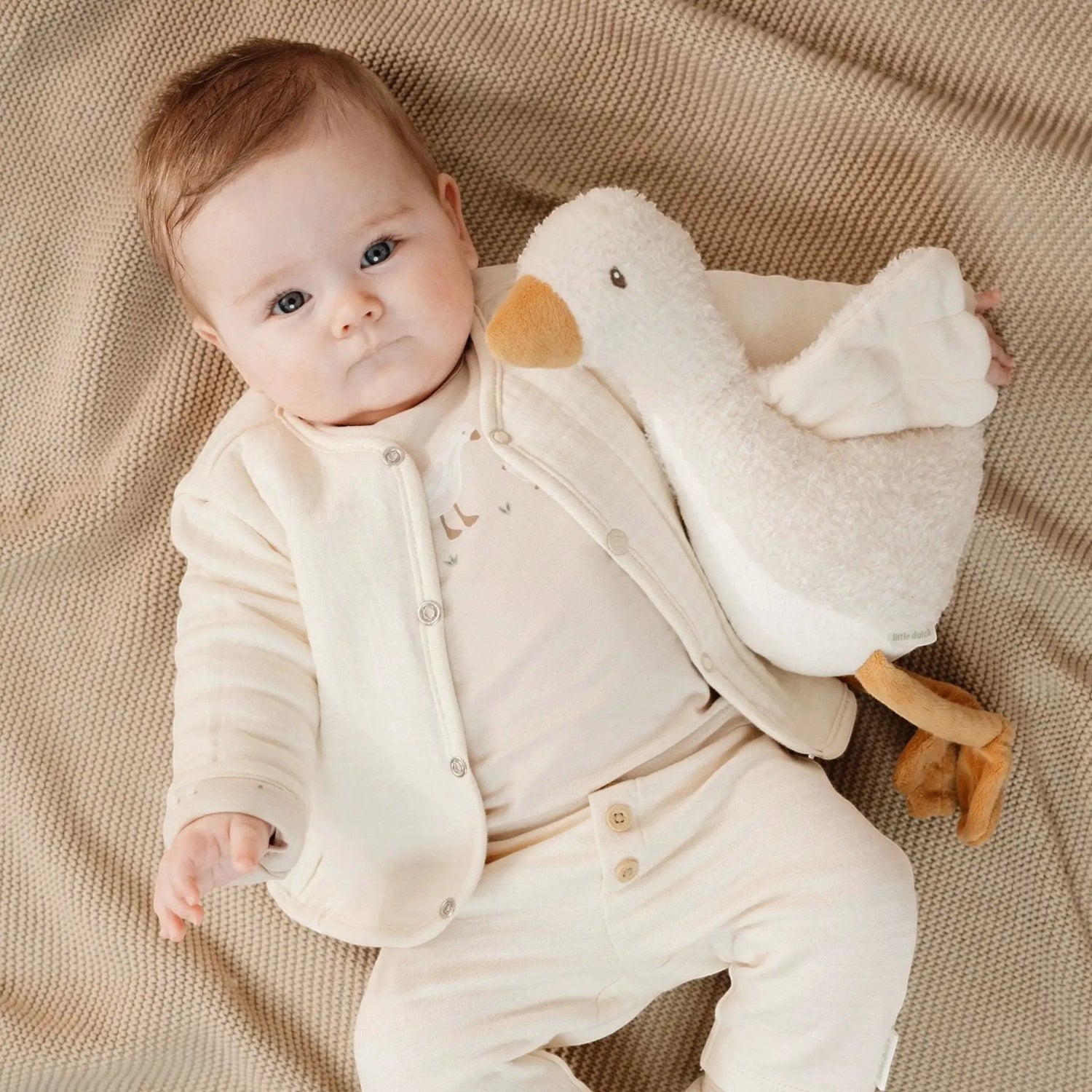 Giacca Neonato Beige CL25292013 by LITTLE DUTCH